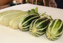 网红吃瓜资料免费,揭秘娱乐圈幕后真相