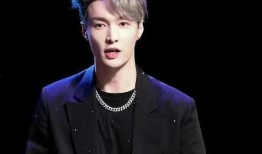 娱乐圈吃瓜爆料张艺兴,娱乐圈风云中的青春偶像